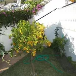 Capistrano1